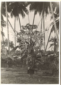 229270 Een man van de Marind-anim verkleed als bamboe-dema poseert in de tuin van de statie in Merauke (Indonesië)